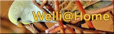 Welli@Home