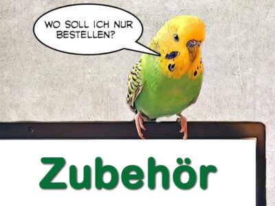 Wellensittich-Zubehör von A bis Z
