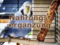 Nahrungsergänzung im Handel