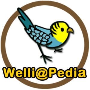 Welli@Pedia