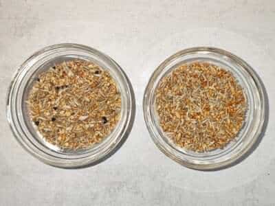 Vergleich Blattner und Mr. Crumble Vergleich Blattner und Mr. Crumble