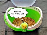 Tierarzt-Sprechblase Tierarzt-Sprechblase